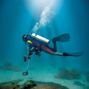 Fisher CZ21 Underwater Multi-Frequency Professional Metal Detector